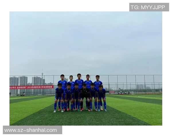 成都足球队在世界锦标赛中的技术表现分析与点评