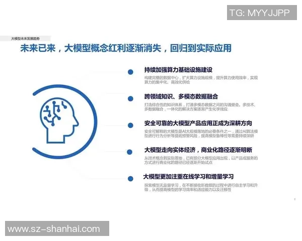 武汉排球队总决赛表现分析与状态评估的深度解读